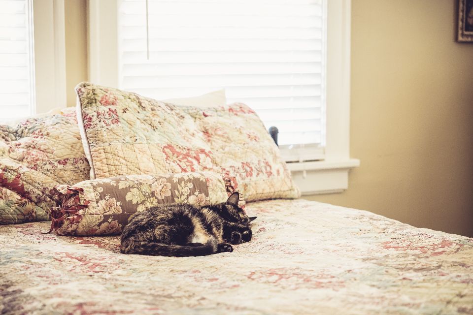 A guest room with a large bed and soft lighting